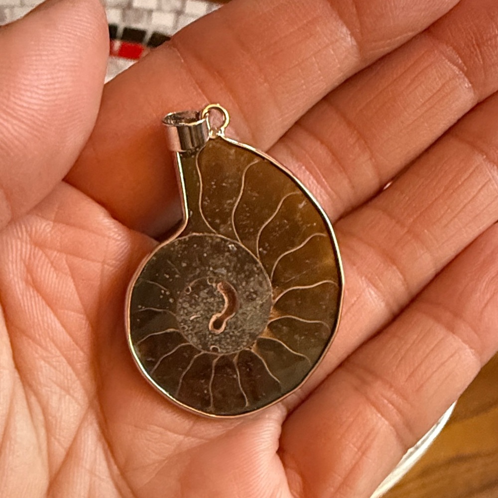Artisan Ammonite Fossil Necklace with Silver Accents